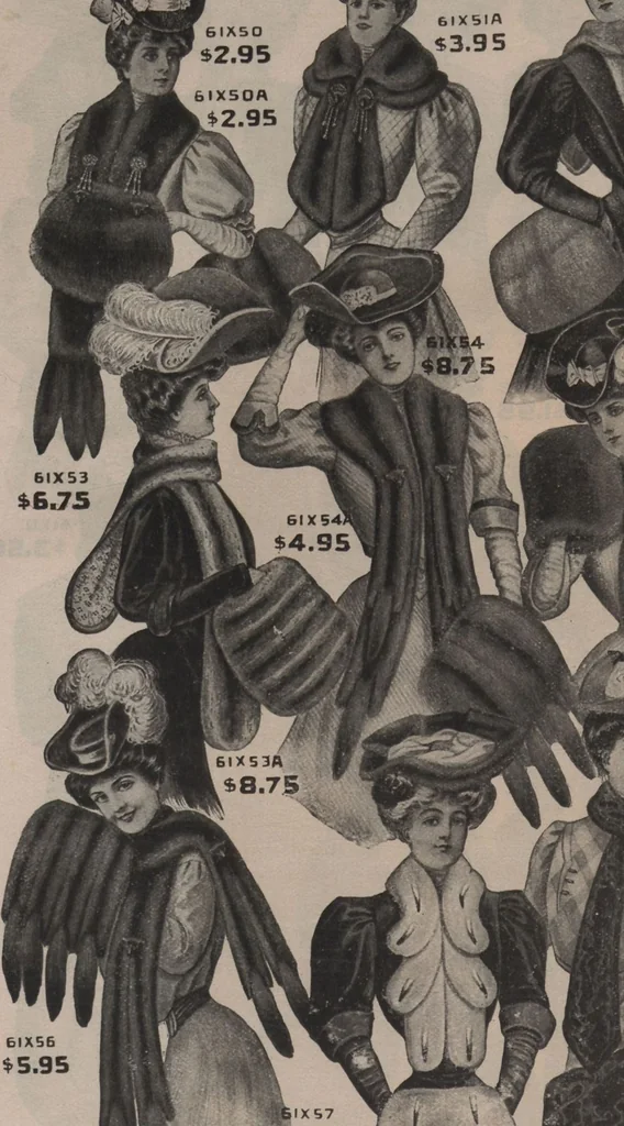 An illustration from New York City's latest fall and winter styles for 1906-1907 : catalogue no. 42 / Siegel Cooper Co, 1906, leaf 12