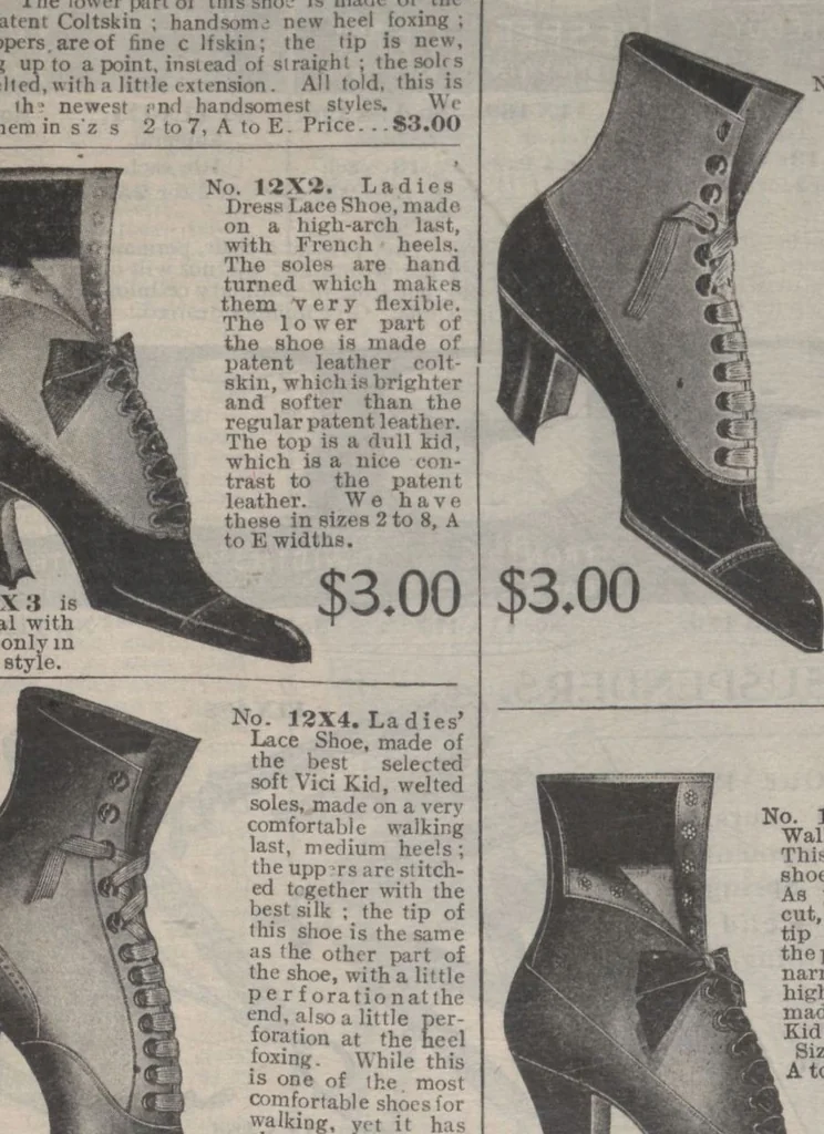 An illustration from New York City's latest fall and winter styles for 1906-1907 : catalogue no. 42 / Siegel Cooper Co, 1906, leaf 134
