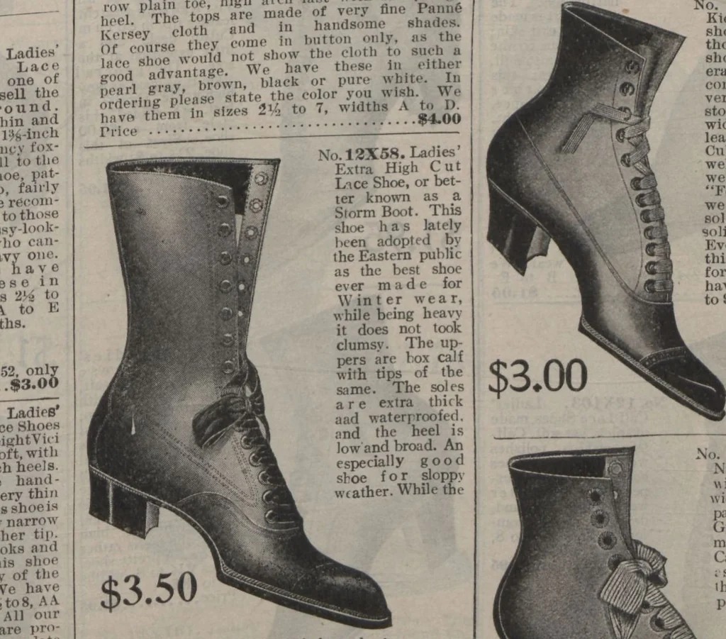 An illustration from New York City's latest fall and winter styles for 1906-1907 : catalogue no. 42 / Siegel Cooper Co, 1906, leaf 135