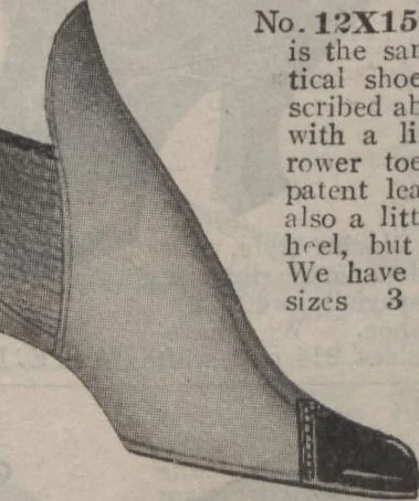 An illustration from New York City's latest fall and winter styles for 1906-1907 : catalogue no. 42 / Siegel Cooper Co, 1906, leaf 137