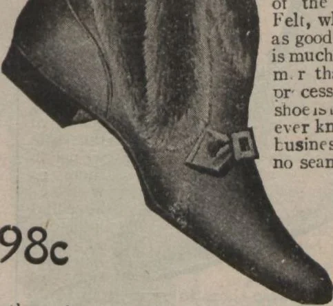 An illustration from New York City's latest fall and winter styles for 1906-1907 : catalogue no. 42 / Siegel Cooper Co, 1906, leaf 139