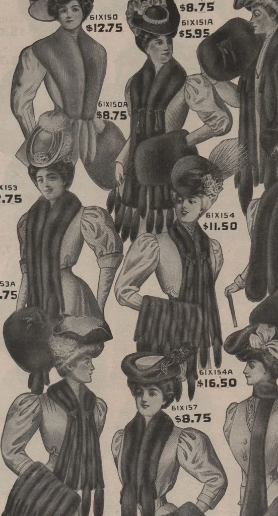 An illustration from New York City's latest fall and winter styles for 1906-1907 : catalogue no. 42 / Siegel Cooper Co, 1906, leaf 14