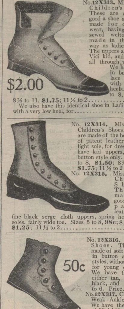 An illustration from New York City's latest fall and winter styles for 1906-1907 : catalogue no. 42 / Siegel Cooper Co, 1906, leaf 140