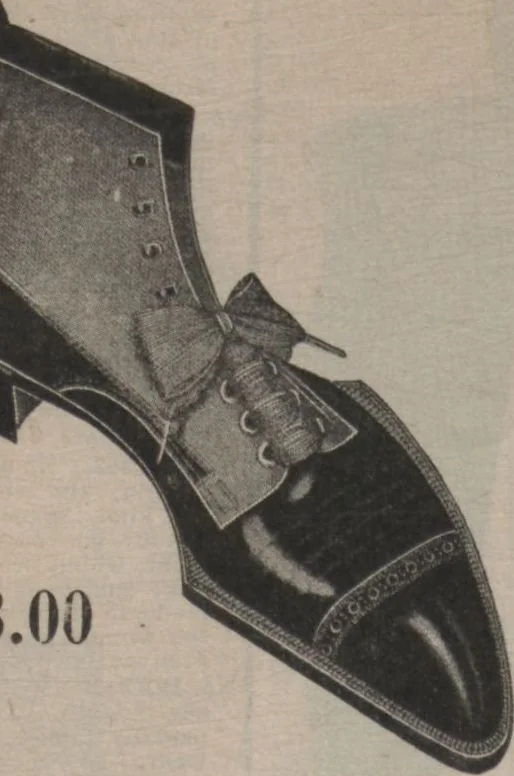 An illustration from New York City's latest fall and winter styles for 1906-1907 : catalogue no. 42 / Siegel Cooper Co, 1906, leaf 142