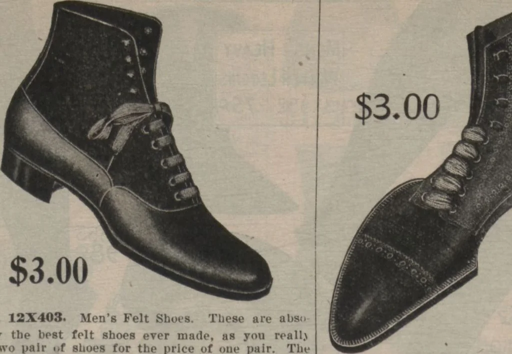 An illustration from New York City's latest fall and winter styles for 1906-1907 : catalogue no. 42 / Siegel Cooper Co, 1906, leaf 142