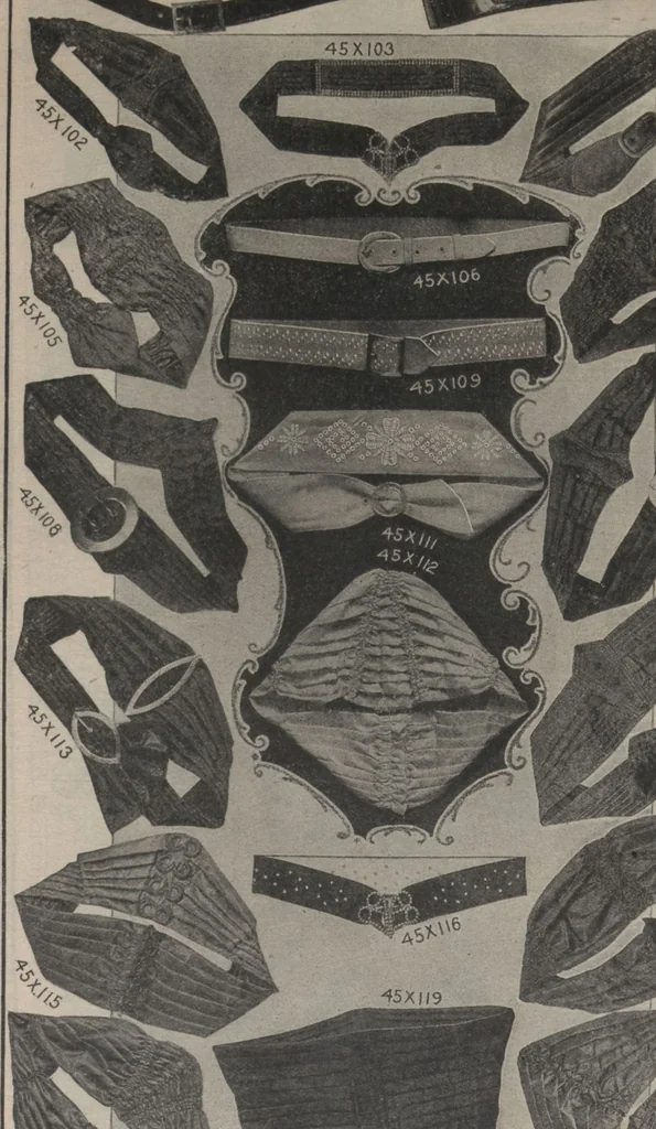An illustration from New York City's latest fall and winter styles for 1906-1907 : catalogue no. 42 / Siegel Cooper Co, 1906, leaf 146
