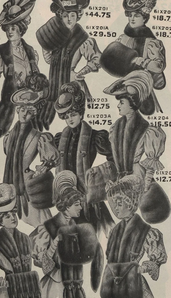 An illustration from New York City's latest fall and winter styles for 1906-1907 : catalogue no. 42 / Siegel Cooper Co, 1906, leaf 15