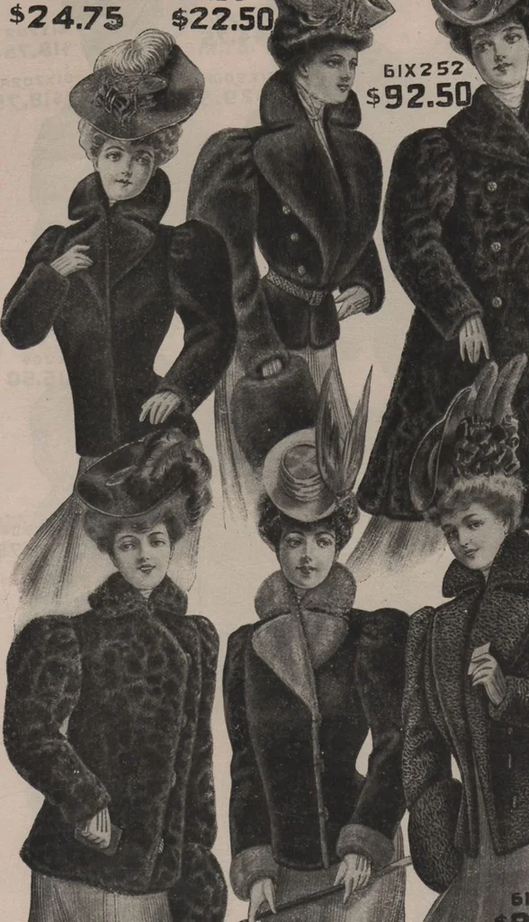 An illustration from New York City's latest fall and winter styles for 1906-1907 : catalogue no. 42 / Siegel Cooper Co, 1906, leaf 16