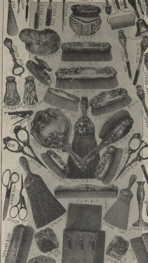 An illustration from New York City's latest fall and winter styles for 1906-1907 : catalogue no. 42 / Siegel Cooper Co, 1906, leaf 164