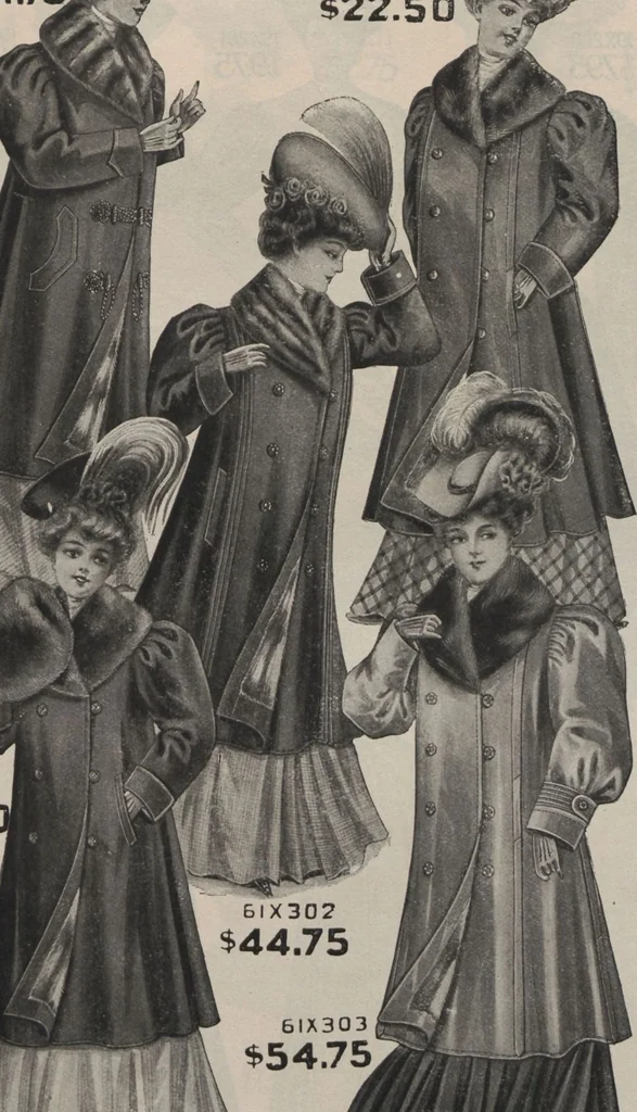 An illustration from New York City's latest fall and winter styles for 1906-1907 : catalogue no. 42 / Siegel Cooper Co, 1906, leaf 17