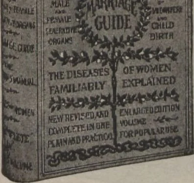 An illustration from New York City's latest fall and winter styles for 1906-1907 : catalogue no. 42 / Siegel Cooper Co, 1906, leaf 179