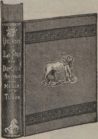 An illustration from New York City's latest fall and winter styles for 1906-1907 : catalogue no. 42 / Siegel Cooper Co, 1906, leaf 179