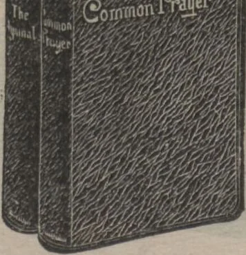 An illustration from New York City's latest fall and winter styles for 1906-1907 : catalogue no. 42 / Siegel Cooper Co, 1906, leaf 180