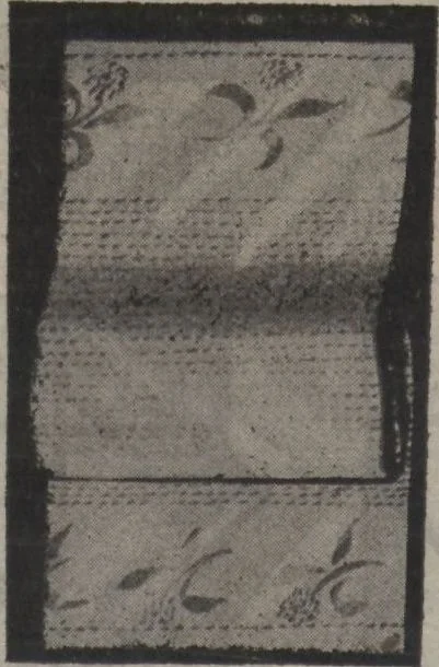 An illustration from New York City's latest fall and winter styles for 1906-1907 : catalogue no. 42 / Siegel Cooper Co, 1906, leaf 208