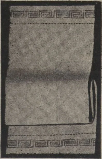 An illustration from New York City's latest fall and winter styles for 1906-1907 : catalogue no. 42 / Siegel Cooper Co, 1906, leaf 208