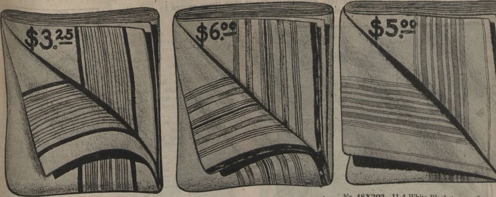 An illustration from New York City's latest fall and winter styles for 1906-1907 : catalogue no. 42 / Siegel Cooper Co, 1906, leaf 209