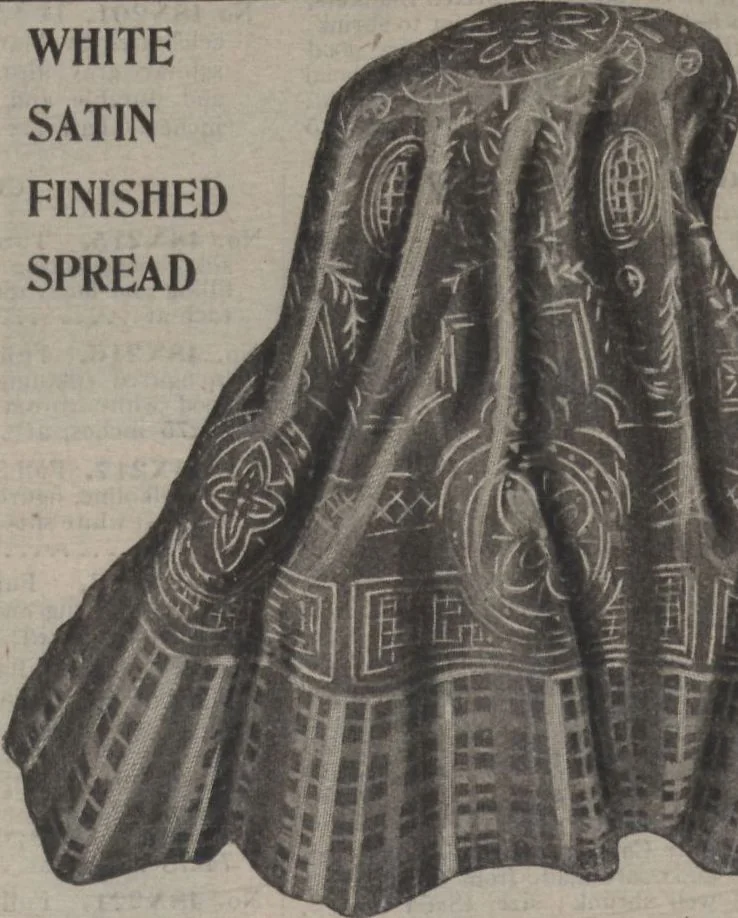 An illustration from New York City's latest fall and winter styles for 1906-1907 : catalogue no. 42 / Siegel Cooper Co, 1906, leaf 210