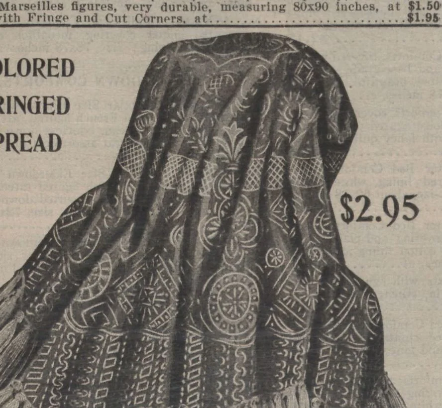An illustration from New York City's latest fall and winter styles for 1906-1907 : catalogue no. 42 / Siegel Cooper Co, 1906, leaf 210