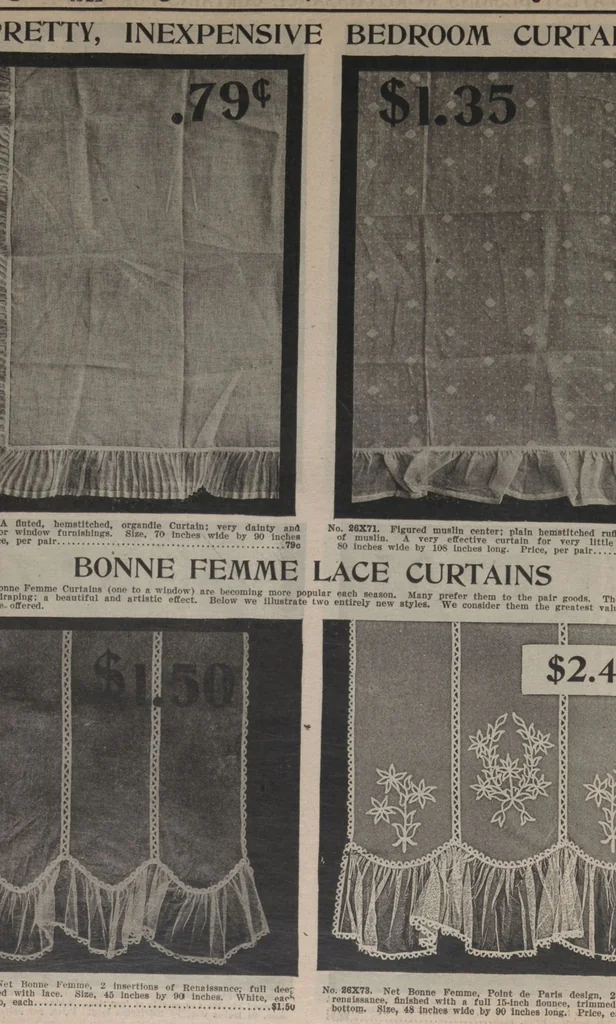 An illustration from New York City's latest fall and winter styles for 1906-1907 : catalogue no. 42 / Siegel Cooper Co, 1906, leaf 218