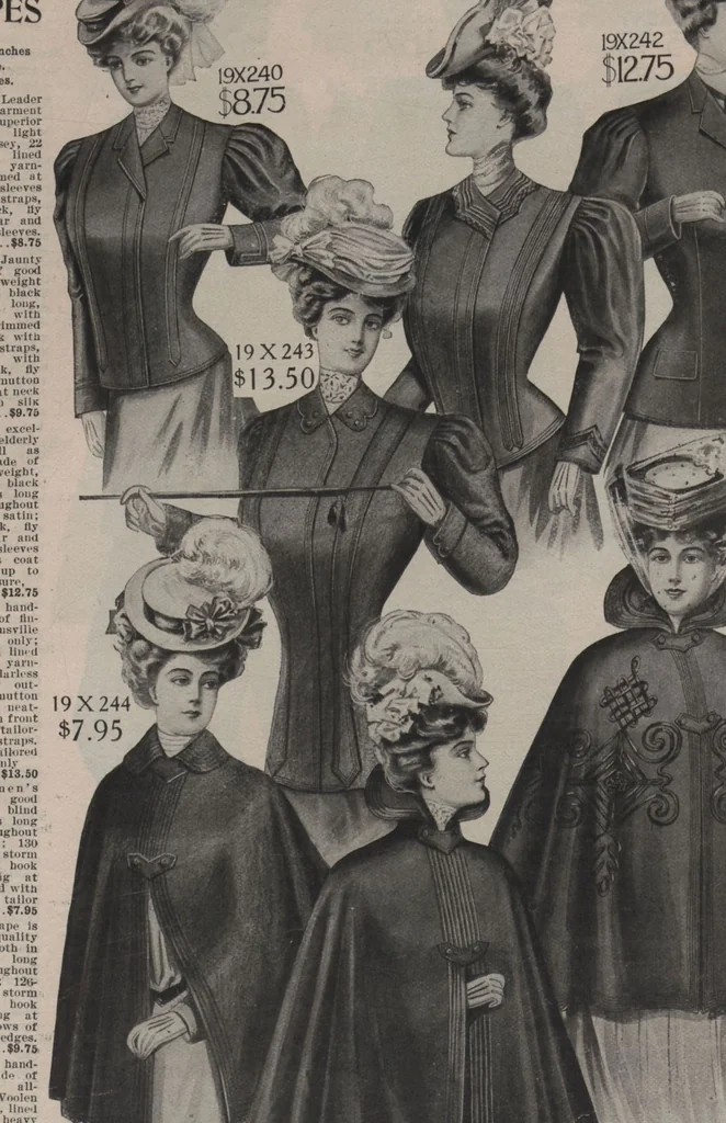 An illustration from New York City's latest fall and winter styles for 1906-1907 : catalogue no. 42 / Siegel Cooper Co, 1906, leaf 22