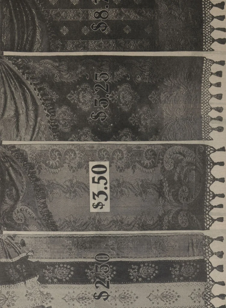 An illustration from New York City's latest fall and winter styles for 1906-1907 : catalogue no. 42 / Siegel Cooper Co, 1906, leaf 220