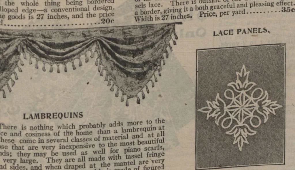 An illustration from New York City's latest fall and winter styles for 1906-1907 : catalogue no. 42 / Siegel Cooper Co, 1906, leaf 221