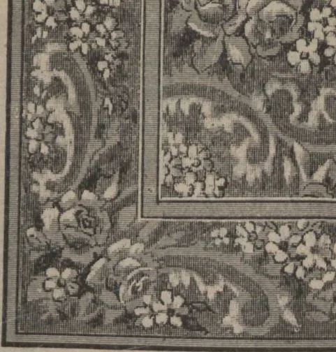 An illustration from New York City's latest fall and winter styles for 1906-1907 : catalogue no. 42 / Siegel Cooper Co, 1906, leaf 223