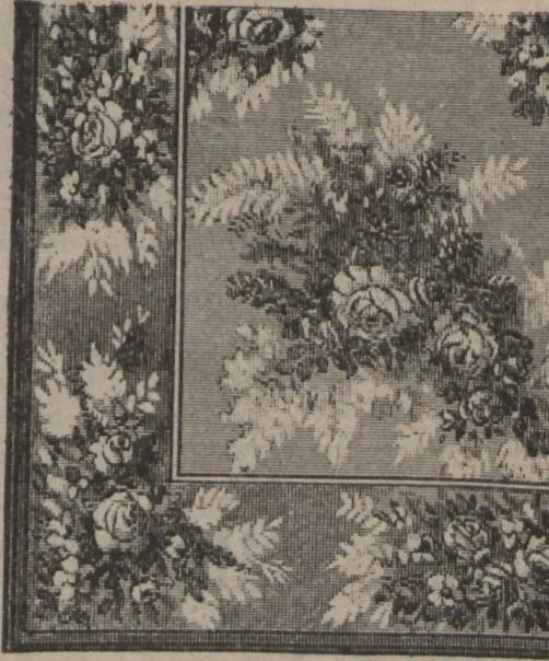 An illustration from New York City's latest fall and winter styles for 1906-1907 : catalogue no. 42 / Siegel Cooper Co, 1906, leaf 223