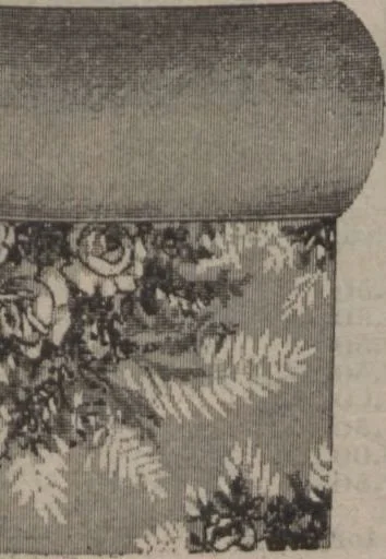 An illustration from New York City's latest fall and winter styles for 1906-1907 : catalogue no. 42 / Siegel Cooper Co, 1906, leaf 223