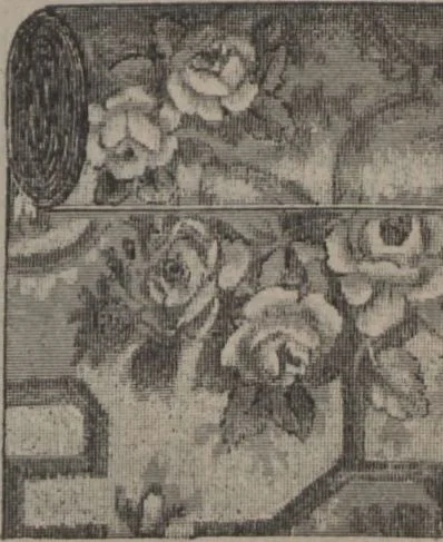 An illustration from New York City's latest fall and winter styles for 1906-1907 : catalogue no. 42 / Siegel Cooper Co, 1906, leaf 223