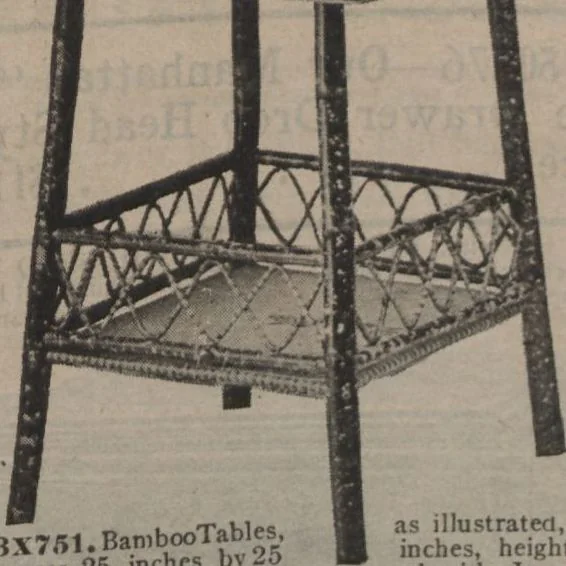 An illustration from New York City's latest fall and winter styles for 1906-1907 : catalogue no. 42 / Siegel Cooper Co, 1906, leaf 231