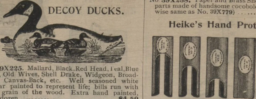 An illustration from New York City's latest fall and winter styles for 1906-1907 : catalogue no. 42 / Siegel Cooper Co, 1906, leaf 254