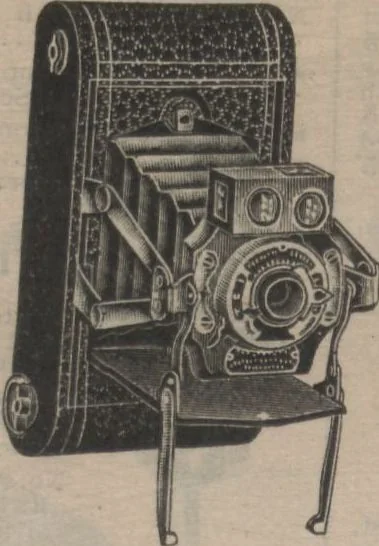 An illustration from New York City's latest fall and winter styles for 1906-1907 : catalogue no. 42 / Siegel Cooper Co, 1906, leaf 256
