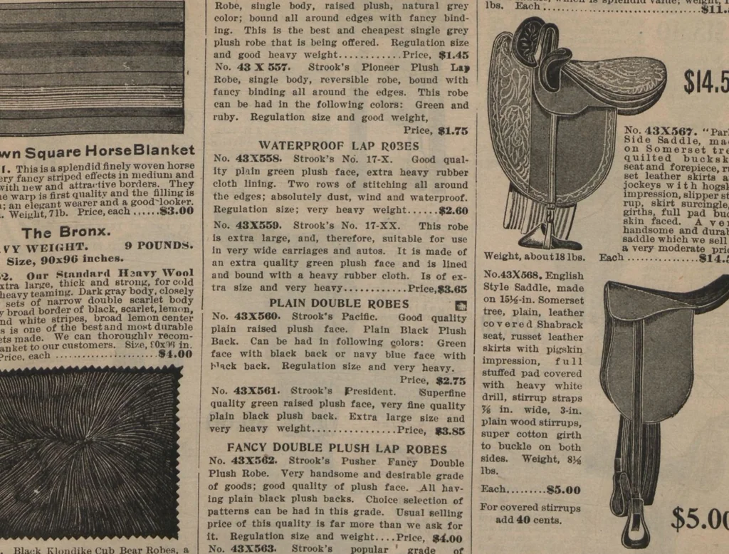 An illustration from New York City's latest fall and winter styles for 1906-1907 : catalogue no. 42 / Siegel Cooper Co, 1906, leaf 265