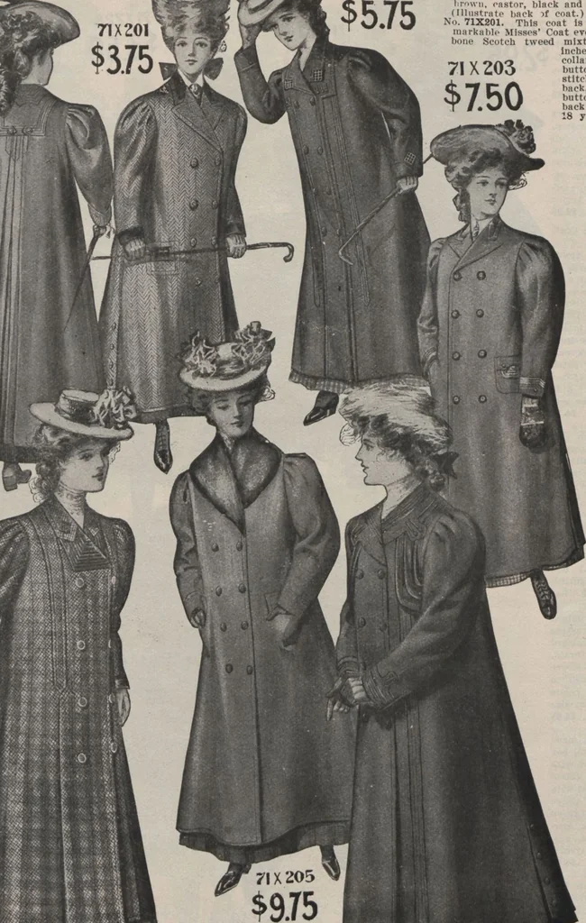 An illustration from New York City's latest fall and winter styles for 1906-1907 : catalogue no. 42 / Siegel Cooper Co, 1906, leaf 39