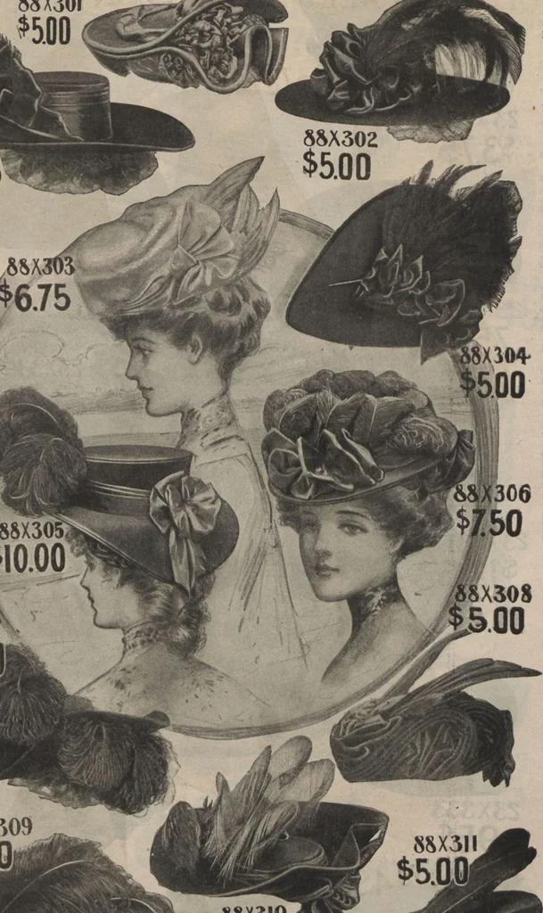 An illustration from New York City's latest fall and winter styles for 1906-1907 : catalogue no. 42 / Siegel Cooper Co, 1906, leaf 45