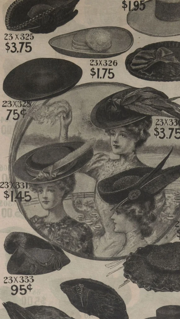 An illustration from New York City's latest fall and winter styles for 1906-1907 : catalogue no. 42 / Siegel Cooper Co, 1906, leaf 46