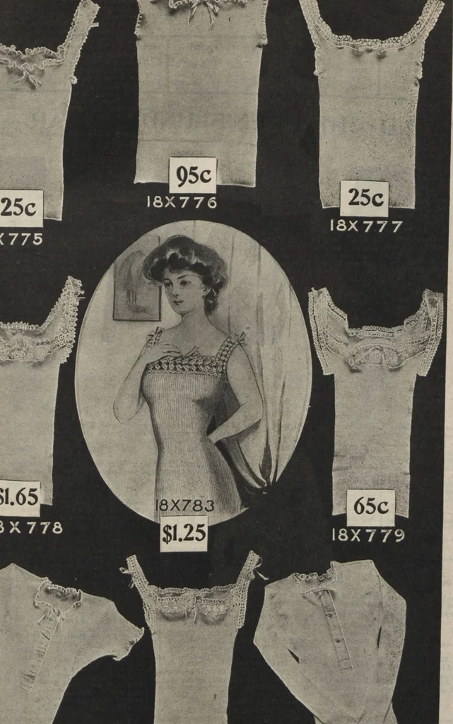 An illustration from New York City's latest fall and winter styles for 1906-1907 : catalogue no. 42 / Siegel Cooper Co, 1906, leaf 73