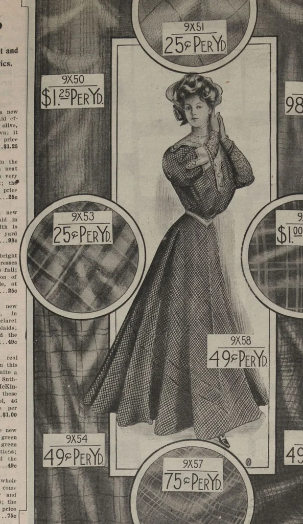 An illustration from New York City's latest fall and winter styles for 1906-1907 : catalogue no. 42 / Siegel Cooper Co, 1906, leaf 86