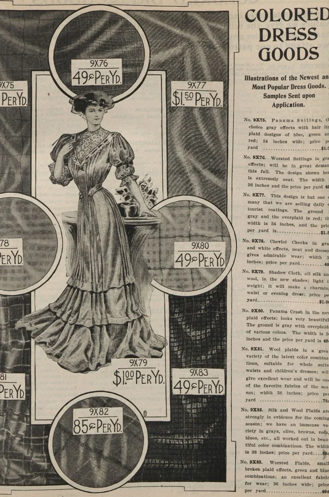 An illustration from New York City's latest fall and winter styles for 1906-1907 : catalogue no. 42 / Siegel Cooper Co, 1906, leaf 87
