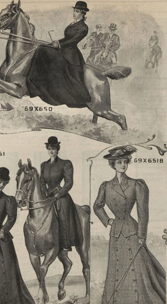 An illustration from New York City's latest fall and winter styles for 1906-1907 : catalogue no. 42 / Siegel Cooper Co, 1906, leaf 93