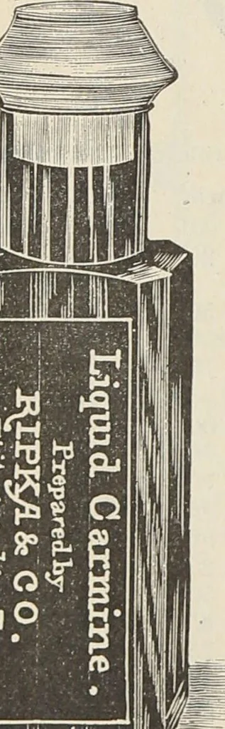 An illustration from Catalogue of Ripka & Co. : importers and manufacturers of artists' materials, 1893, leaf 139