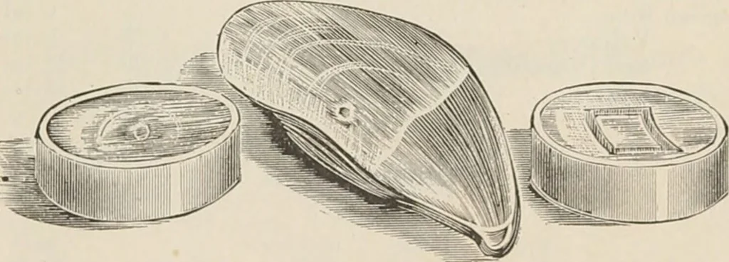 An illustration from Catalogue of Ripka & Co. : importers and manufacturers of artists' materials, 1893, leaf 142