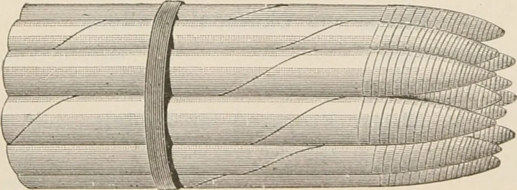 An illustration from Catalogue of Ripka & Co. : importers and manufacturers of artists' materials, 1893, leaf 158