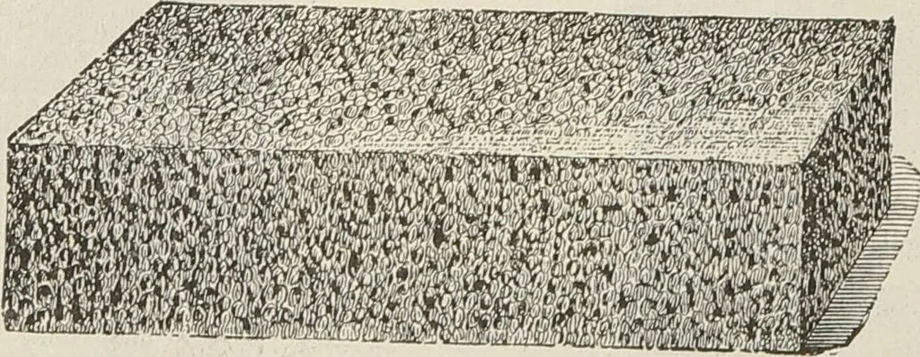An illustration from Catalogue of Ripka & Co. : importers and manufacturers of artists' materials, 1893, leaf 175