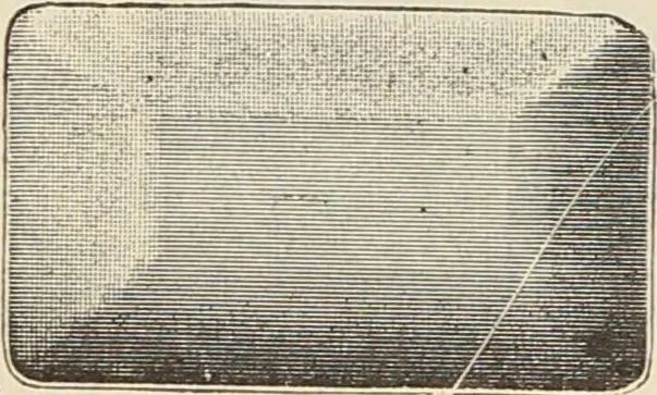An illustration from Catalogue of Ripka & Co. : importers and manufacturers of artists' materials, 1893, leaf 25