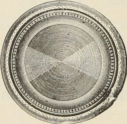 An illustration from Catalogue of Ripka & Co. : importers and manufacturers of artists' materials, 1893, leaf 73