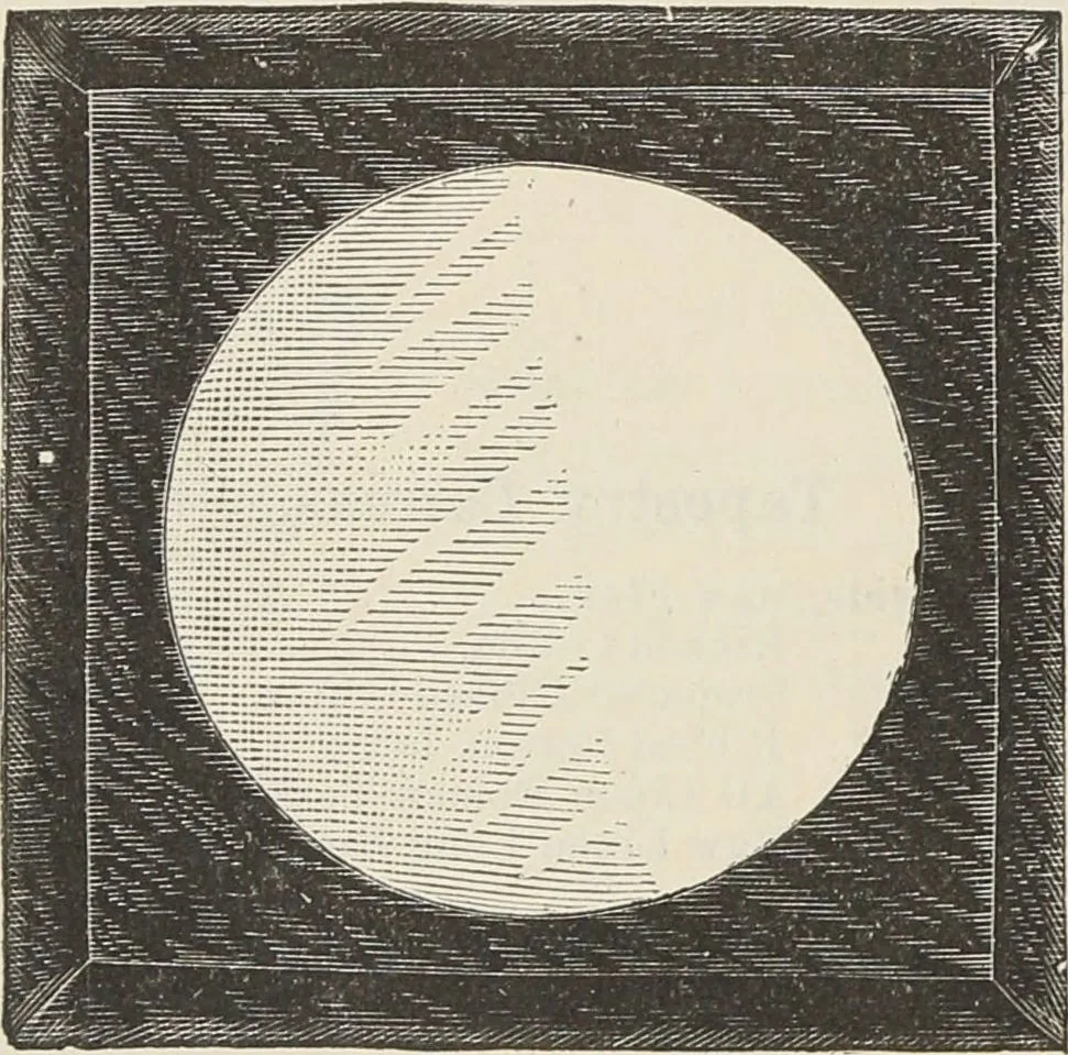 An illustration from Catalogue of Ripka & Co. : importers and manufacturers of artists' materials, 1893, leaf 85