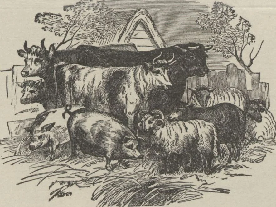 An illustration from Specimens of electrotype cuts, issued by Barnhart Bros. & Spindler, 1900, leaf 105