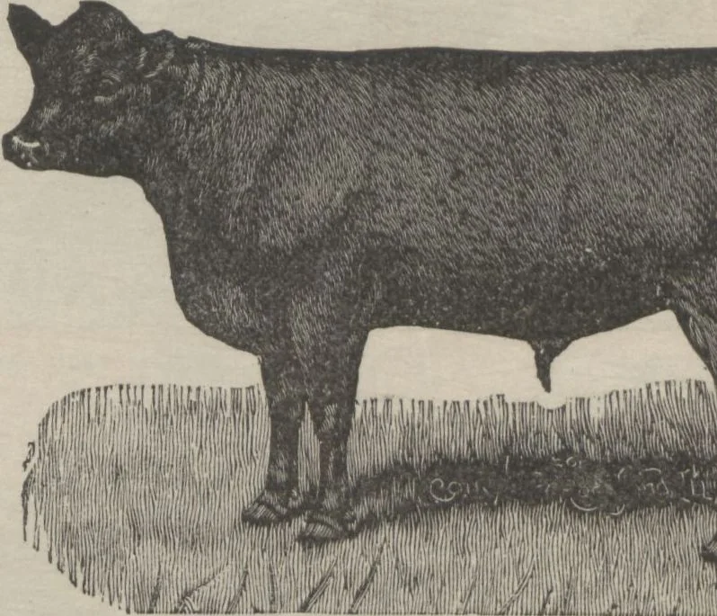 An illustration from Specimens of electrotype cuts, issued by Barnhart Bros. & Spindler, 1900, leaf 105